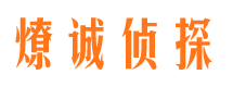 高陵市私家侦探